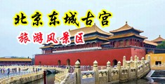 用坤坤戳女生的影院中国北京-东城古宫旅游风景区